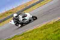 Advanced Group White Bikes